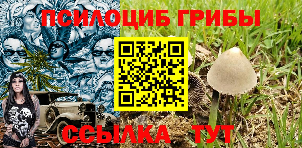 Галлюциногенные грибы Psilocybine cubensis  Псилоцибиновые грибы MAGIC MUSHROOMS  Улан-Удэ  Вход с VPN 